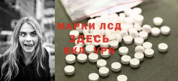 сатива Бородино