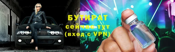 сатива Бородино