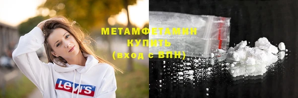 сатива Бородино