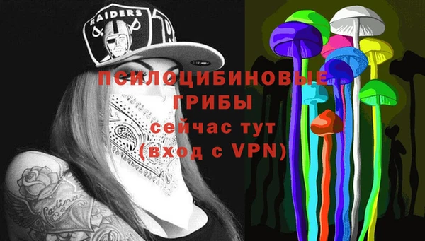 трава Бронницы
