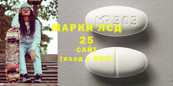 сатива Бородино