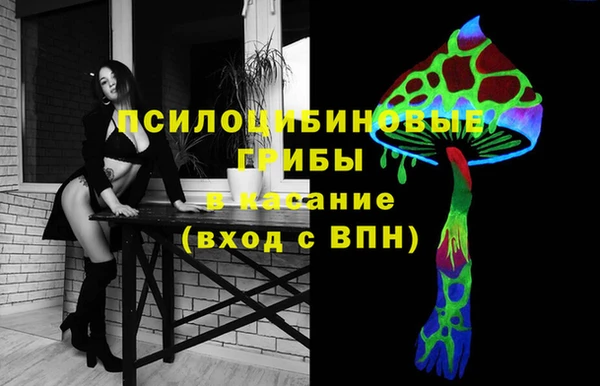 трава Бронницы