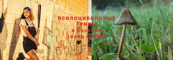 сатива Бородино