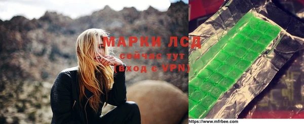 сатива Бородино
