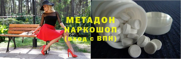 сатива Бородино