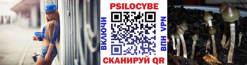 Псилоцибиновые грибы мухоморы  Княгинино 